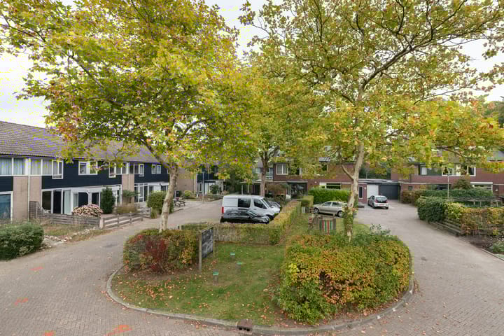 Foto 39 van Schieland 50