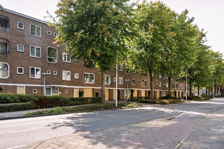 Foto 32 van Meander 709