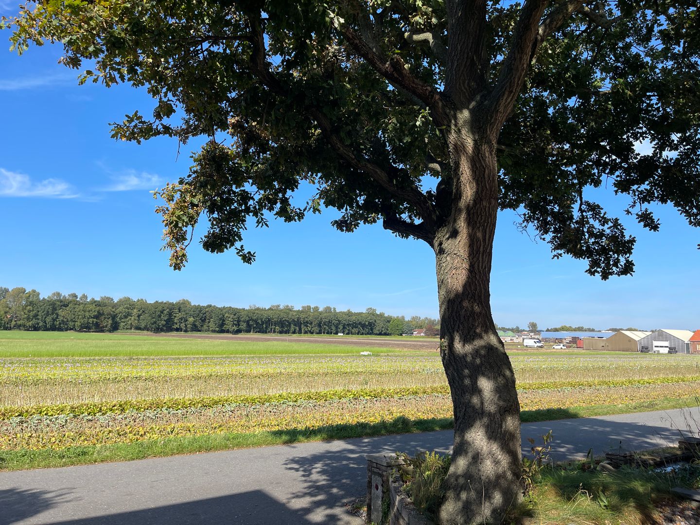 Foto 5 van Zilkerbinnenweg 52