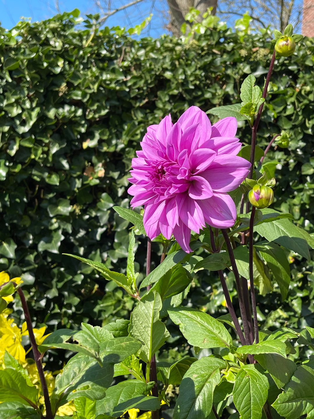 Foto 22 van Zilkerbinnenweg 52