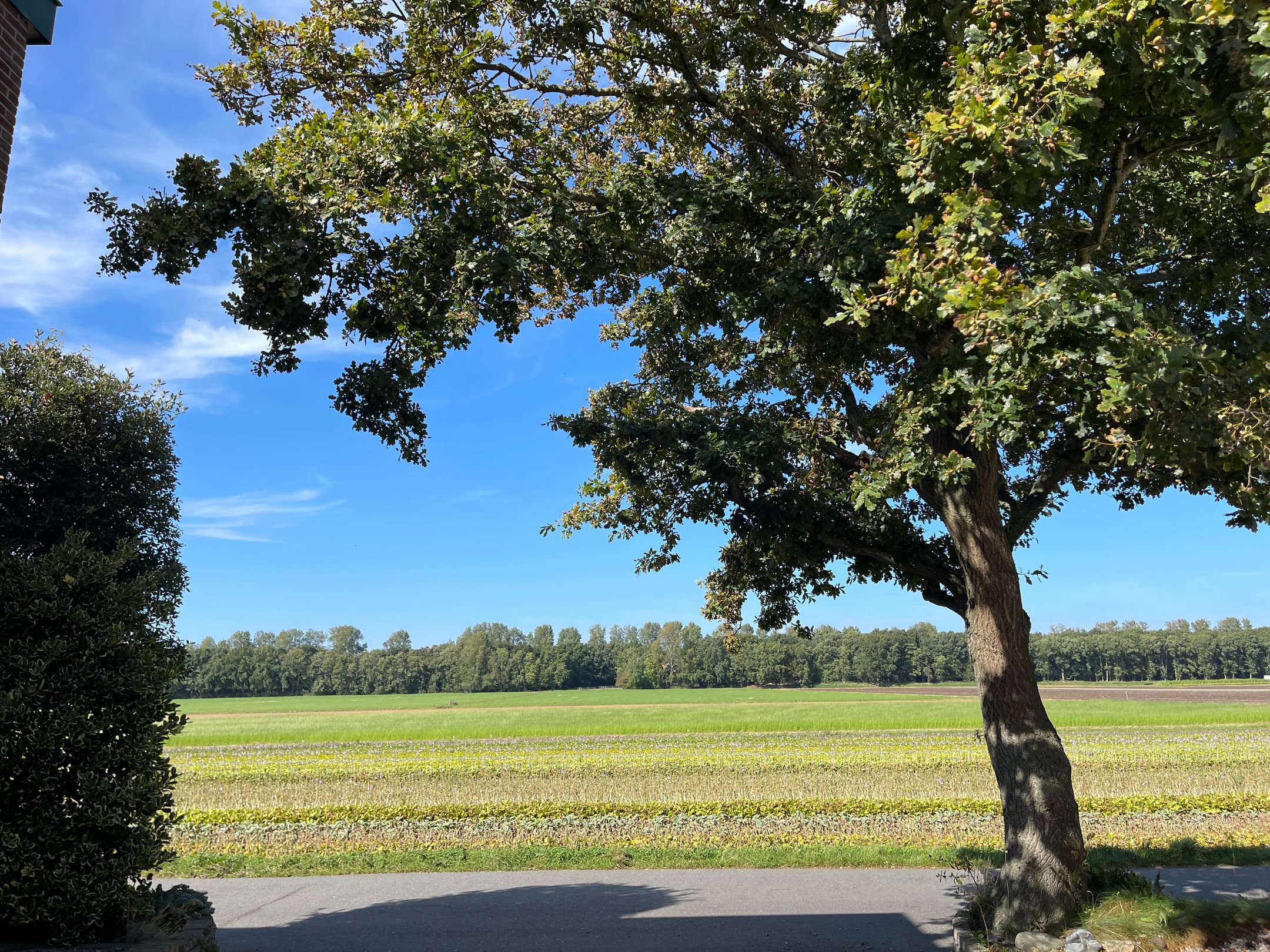 Foto 60 van Zilkerbinnenweg 52