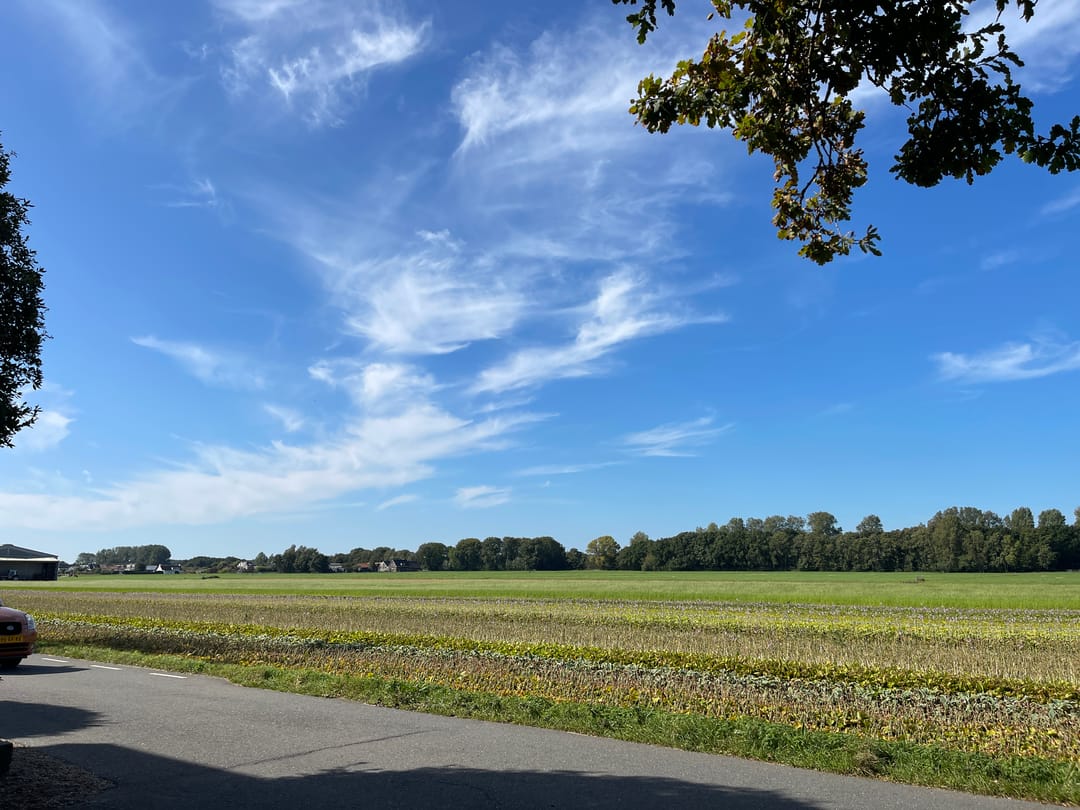 Foto 61 van Zilkerbinnenweg 52