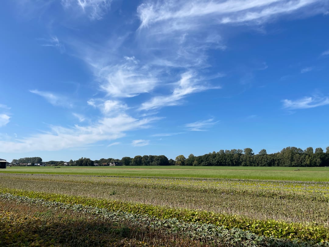 Foto 62 van Zilkerbinnenweg 52