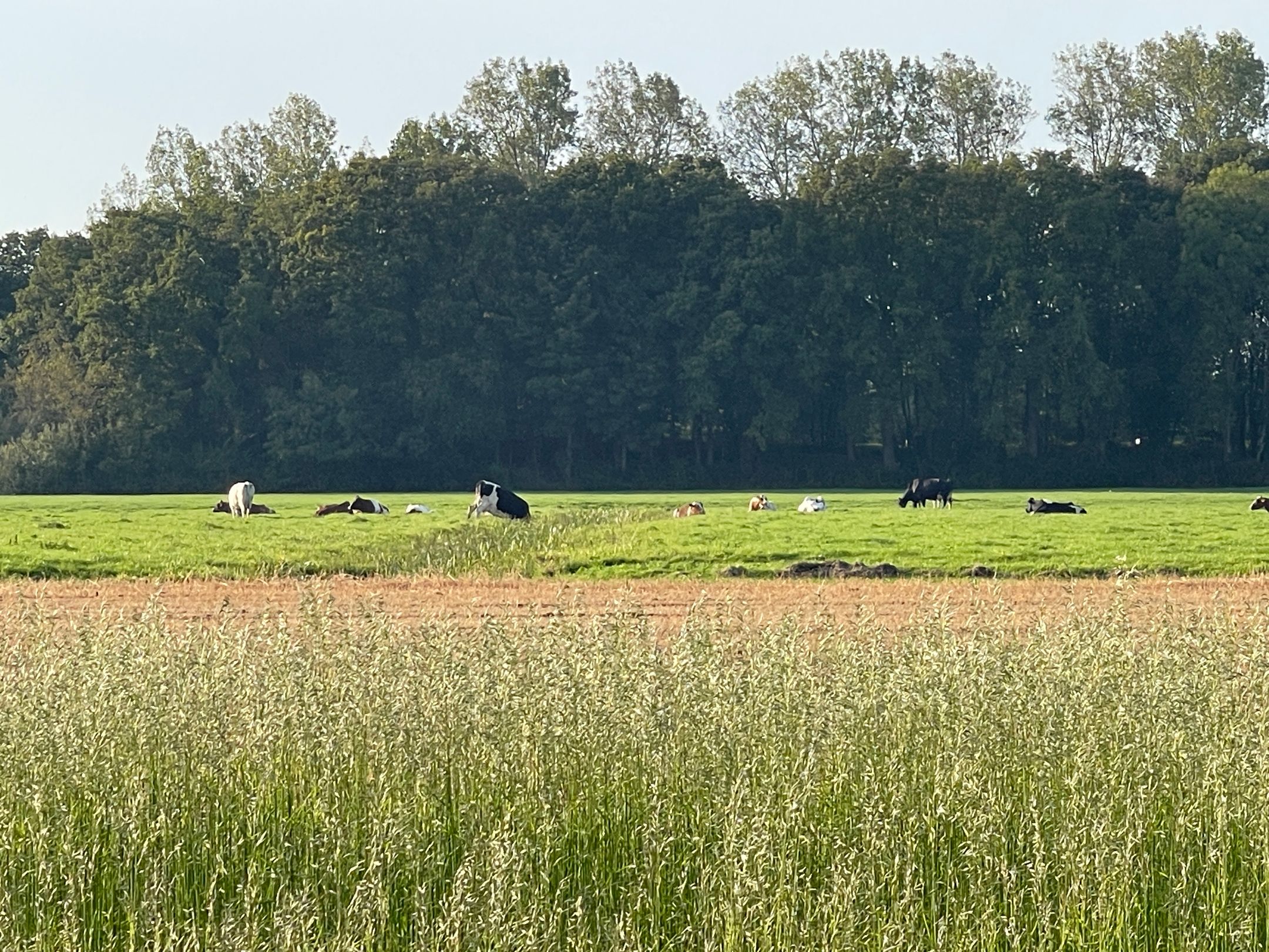 Foto 63 van Zilkerbinnenweg 52