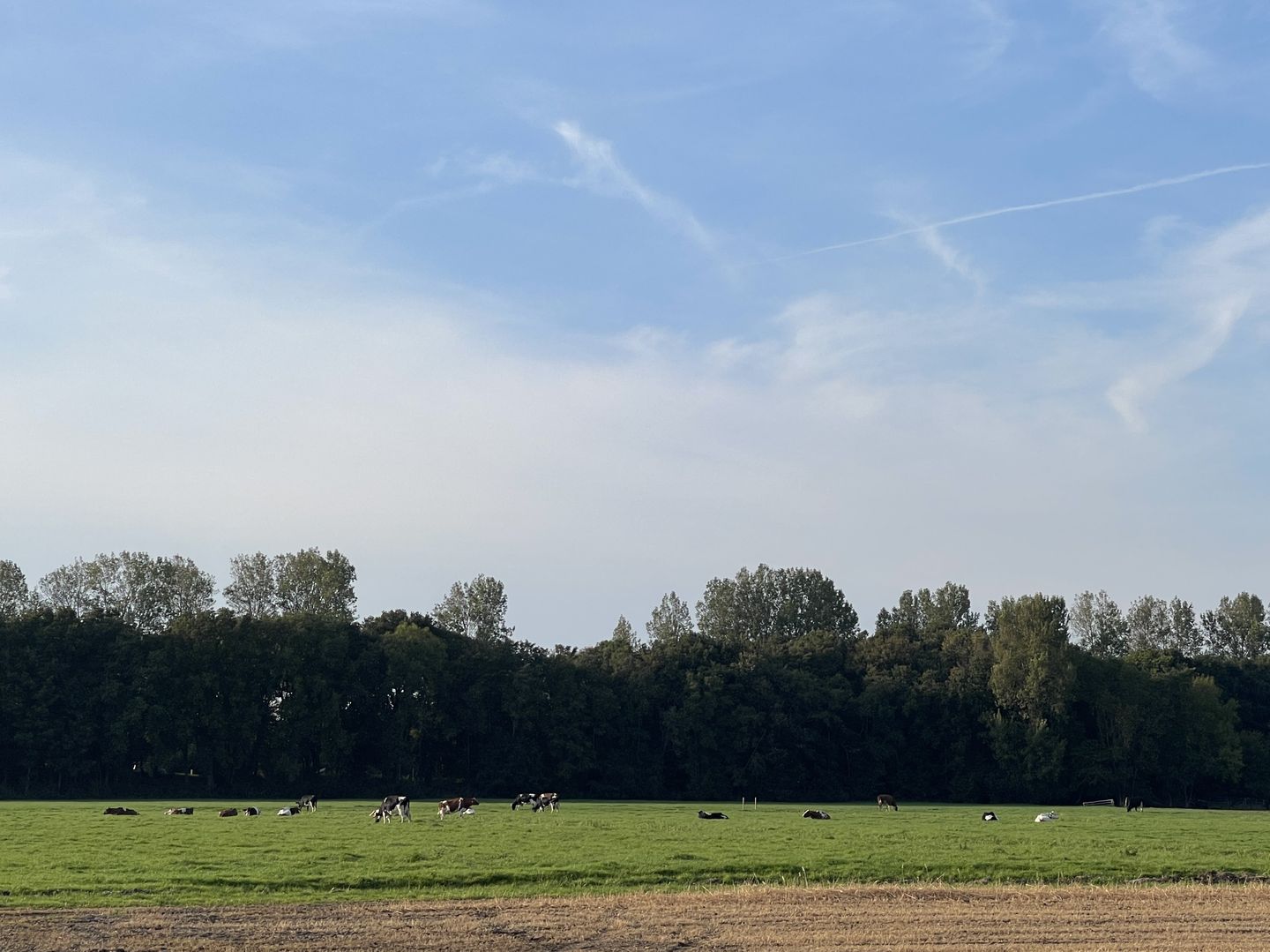 Foto 64 van Zilkerbinnenweg 52