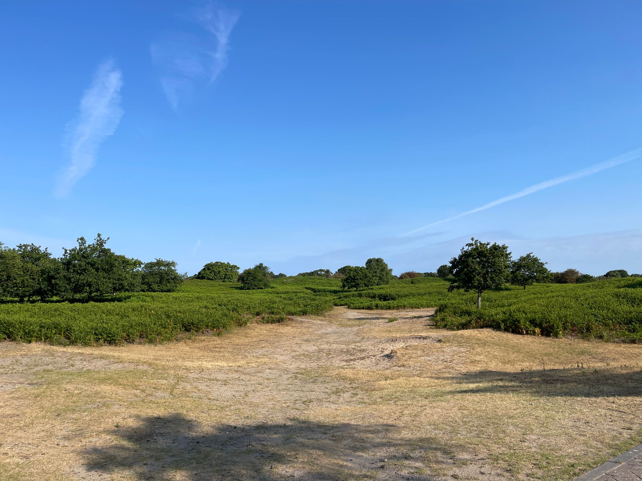 Foto 69 van Zilkerbinnenweg 52