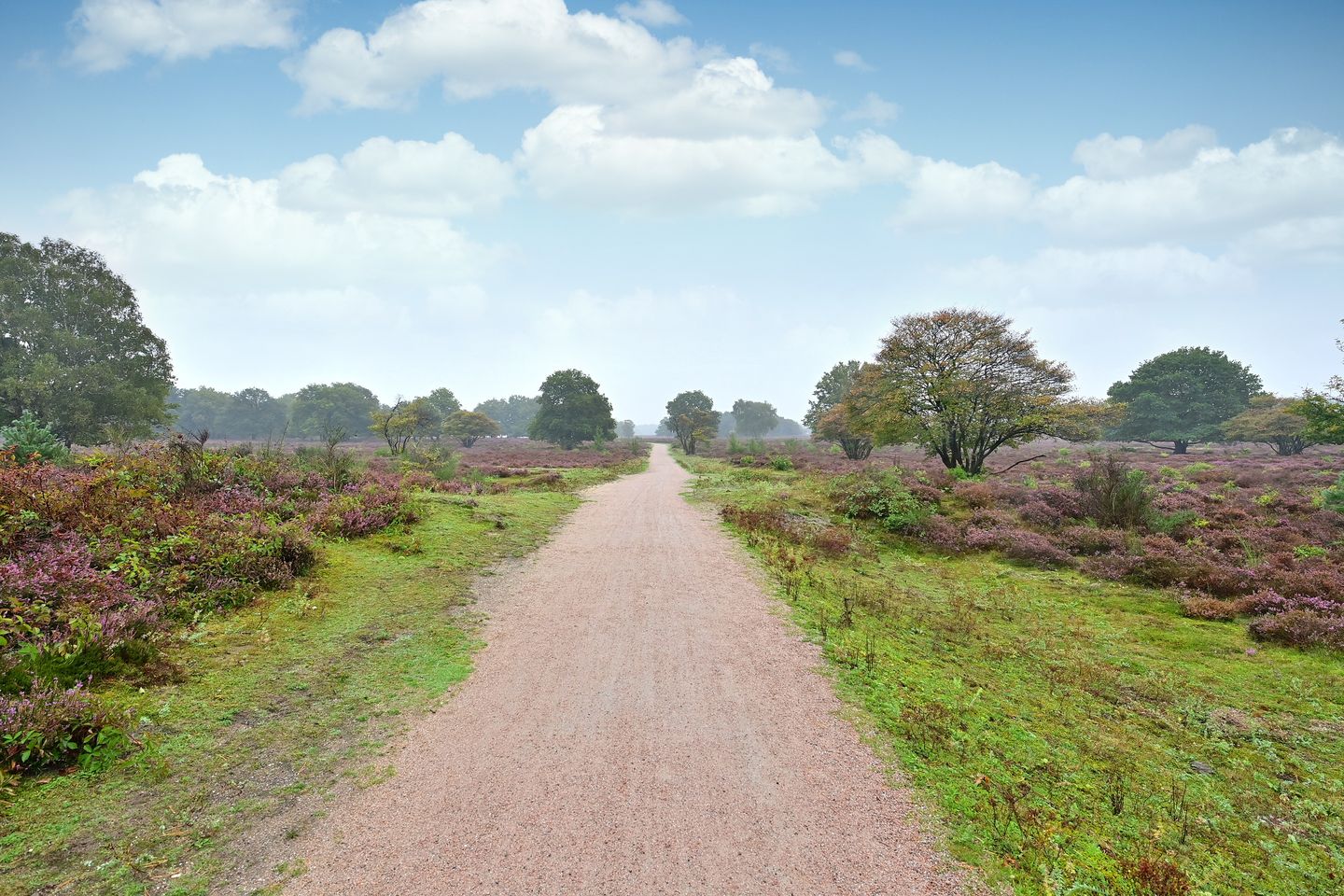 Foto 19 van Orionlaan 68