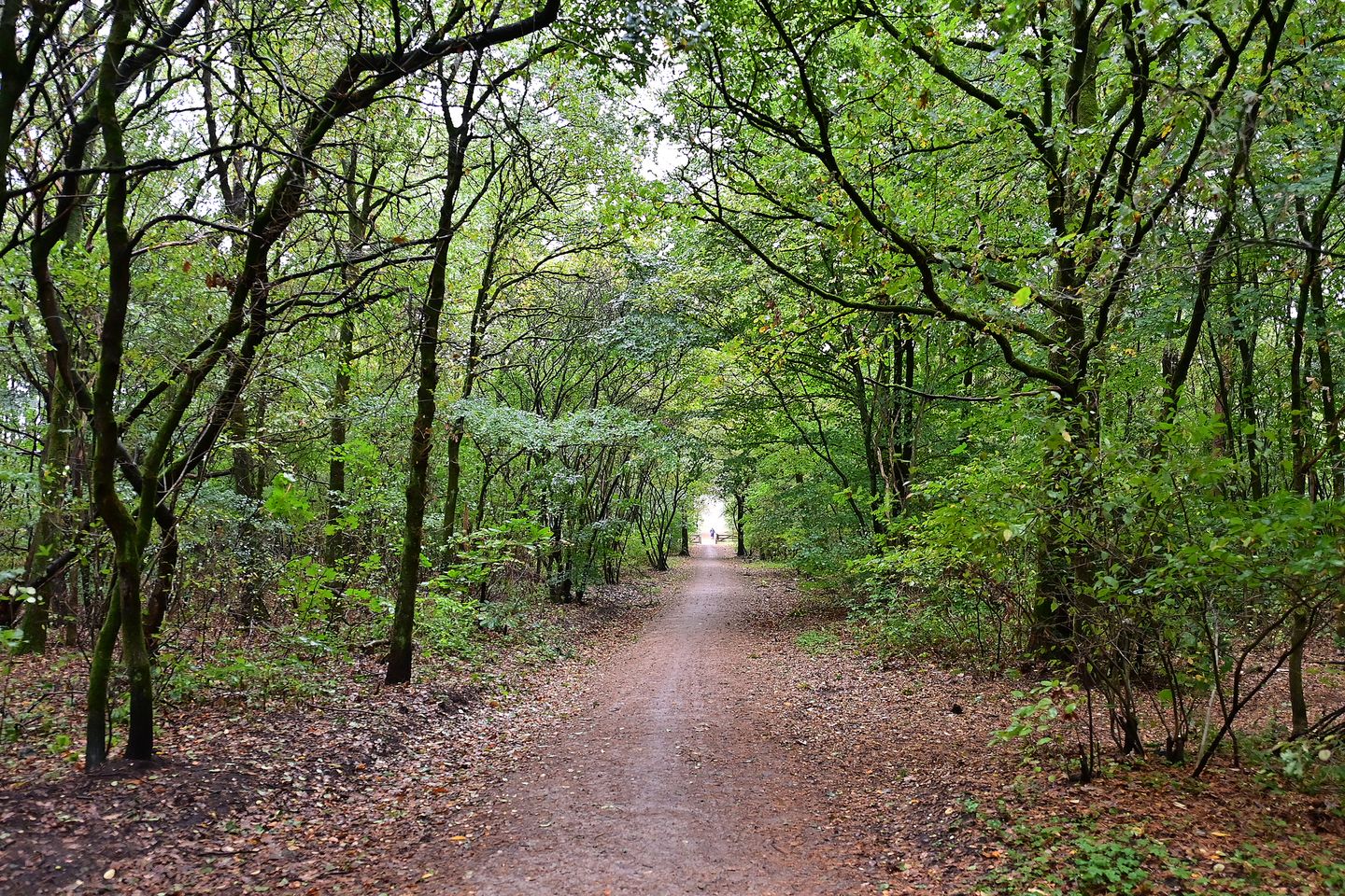 Foto 20 van Orionlaan 68