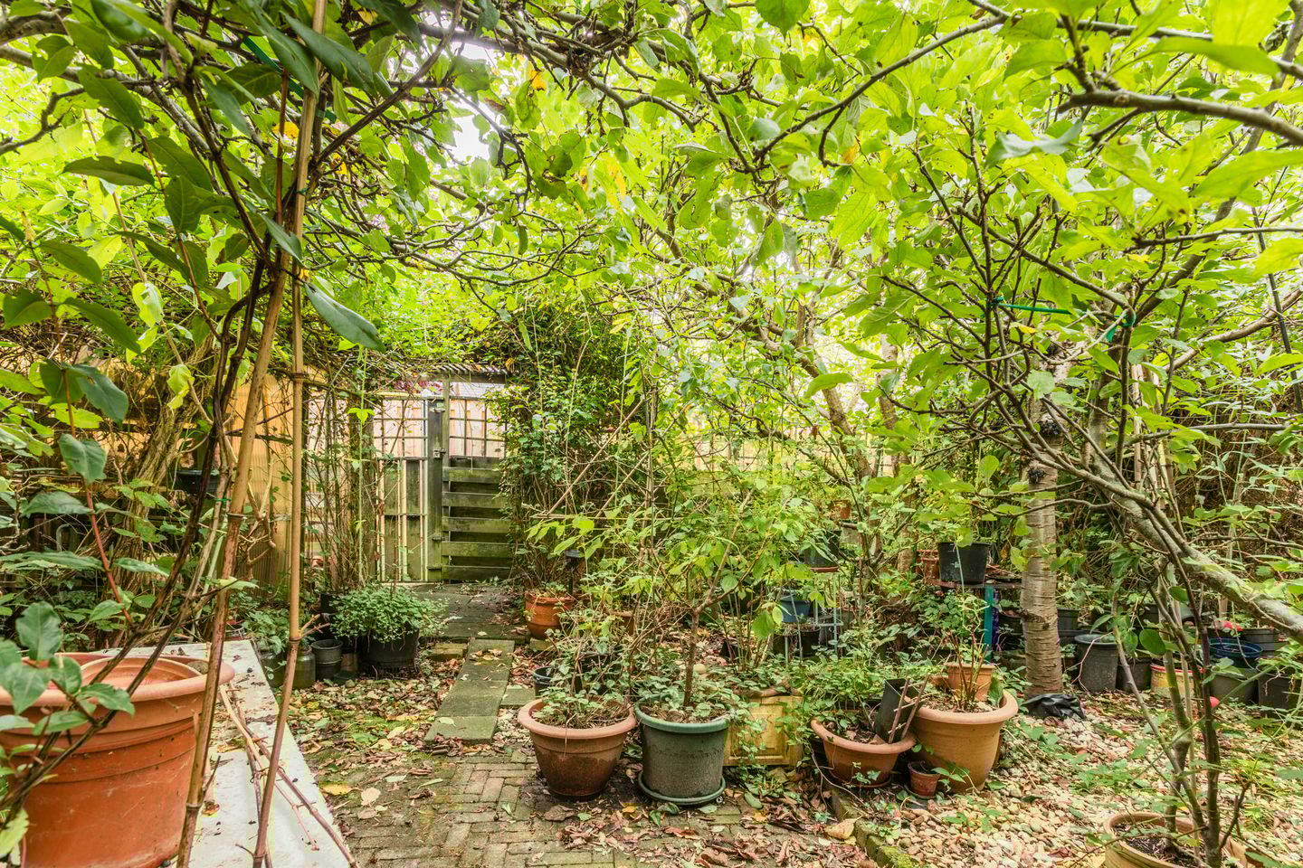 Photo 40 of Marterslag 33