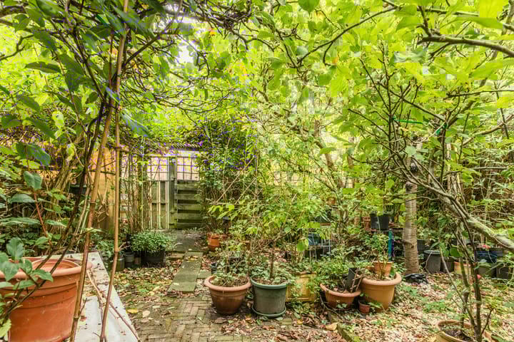 Foto 40 van Marterslag 33