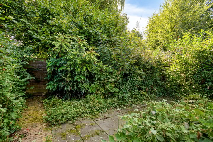 Foto 27 van Zwaluwhof 15