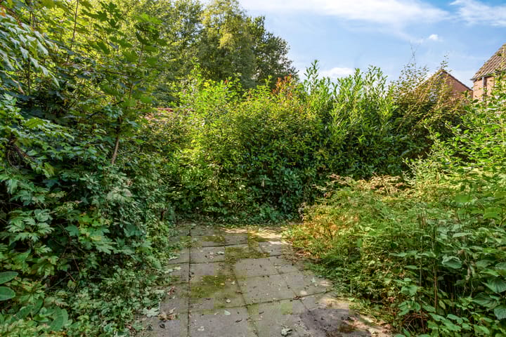 Foto 28 van Zwaluwhof 15