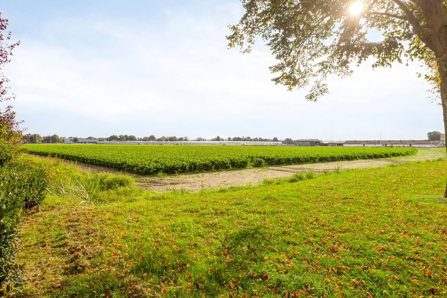 Foto 49 van Haarsteegsestraat 102