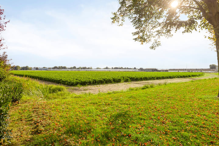 Foto 49 van Haarsteegsestraat 102