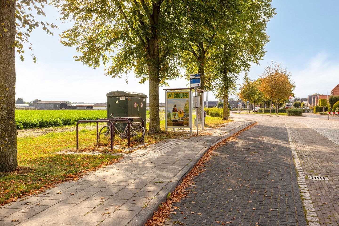 Foto 50 van Haarsteegsestraat 102