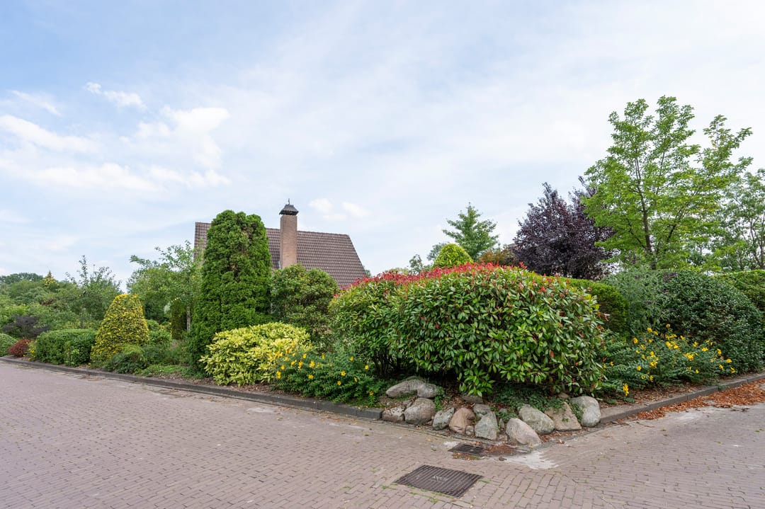 Photo 41 of De Boerhoorn 1