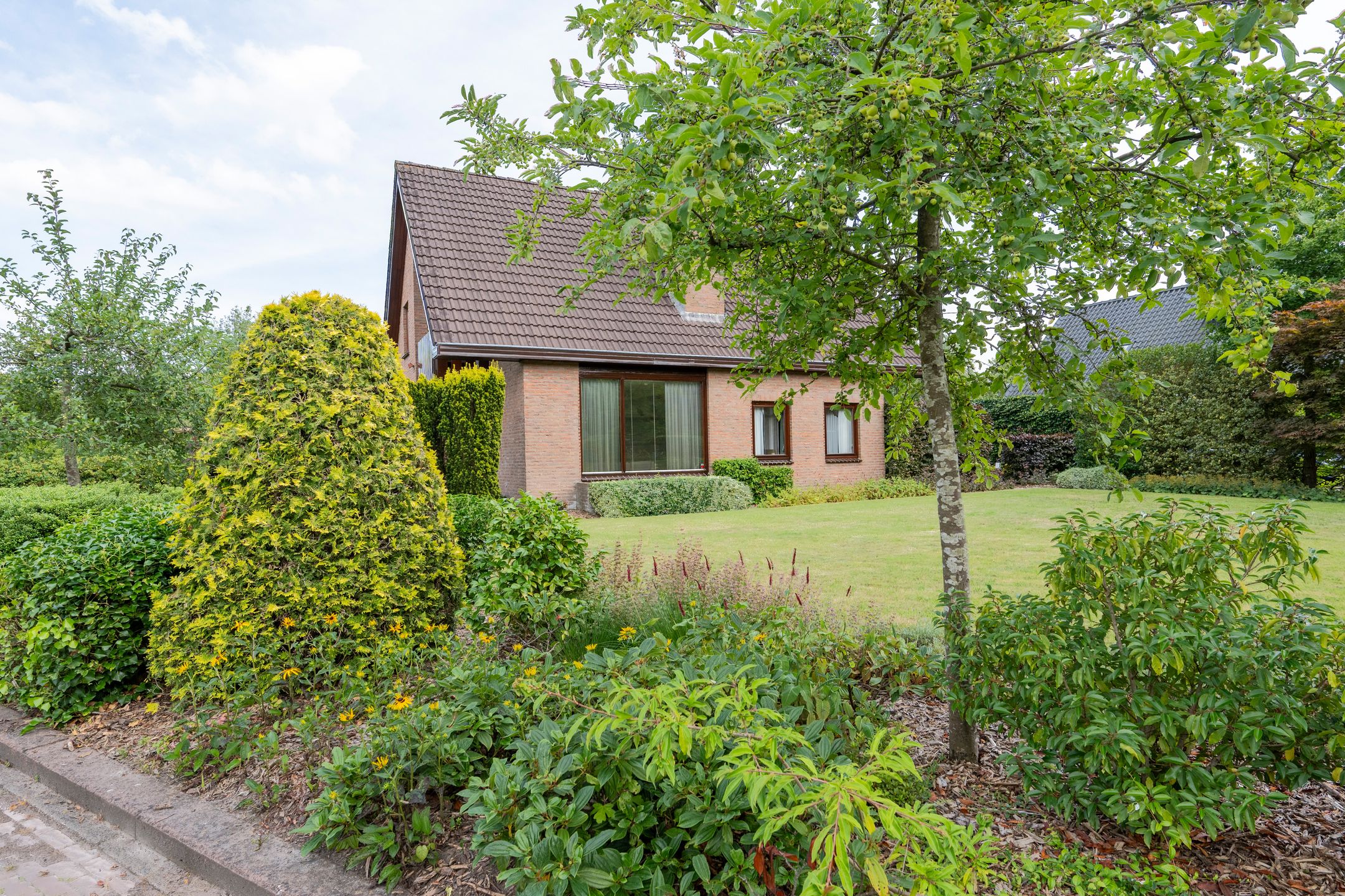 Photo 3 of De Boerhoorn 1