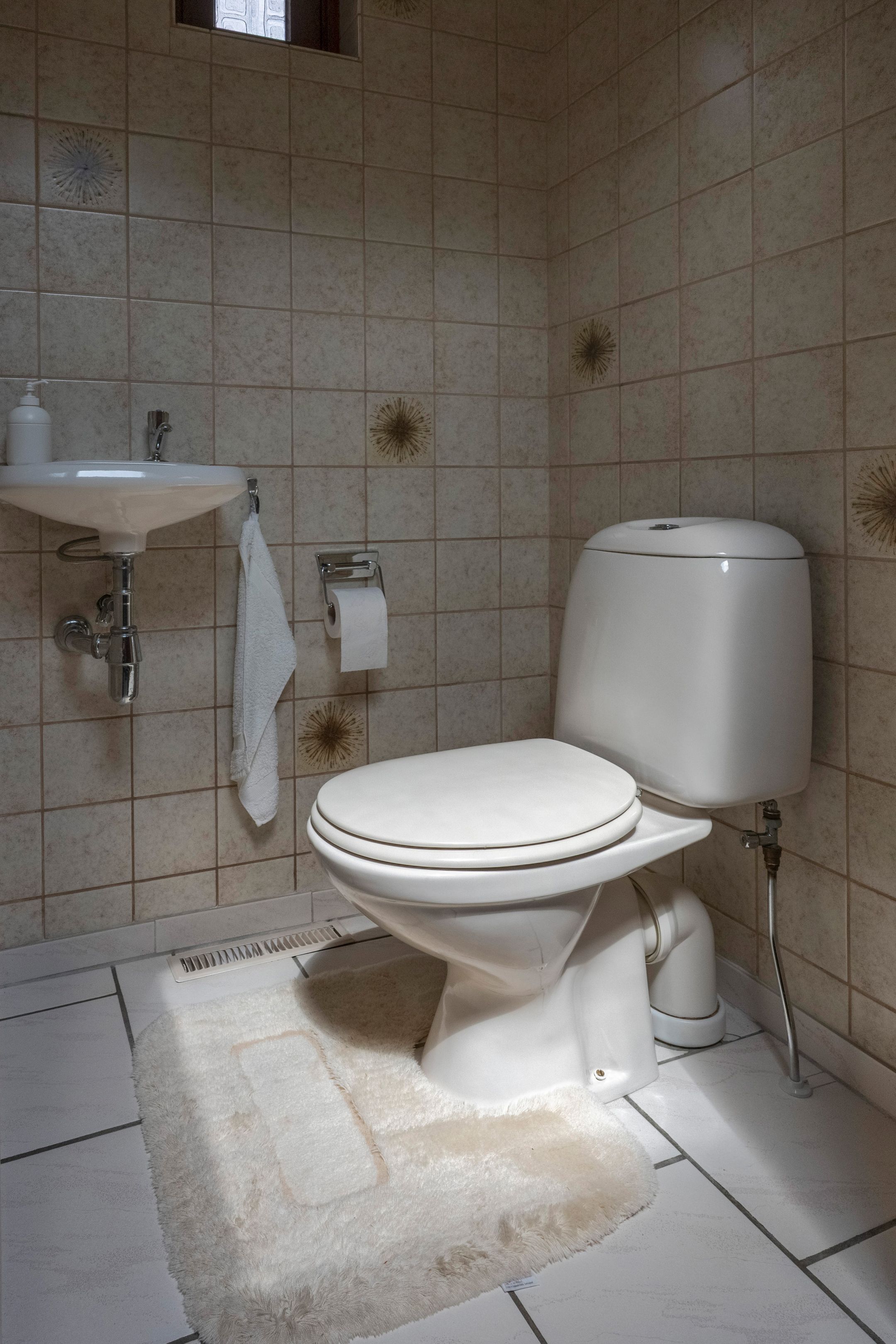 Photo 15 of De Boerhoorn 1