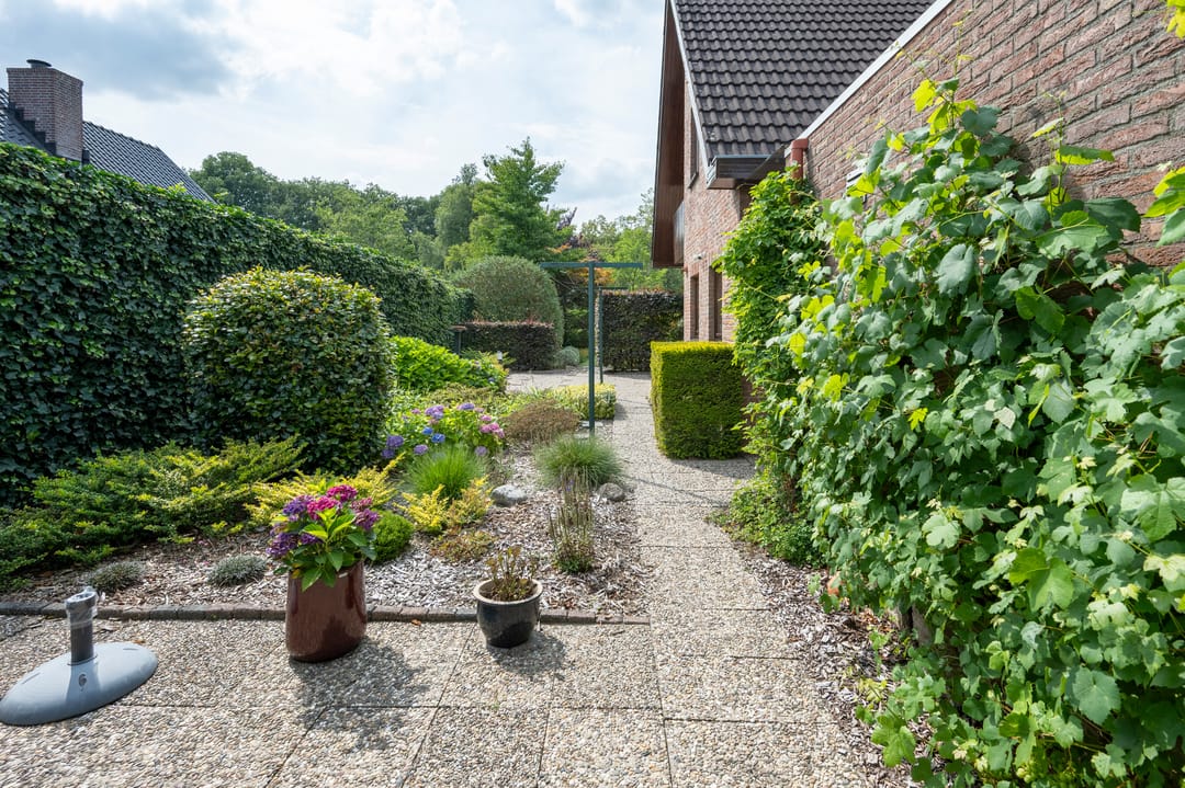 Photo 31 of De Boerhoorn 1