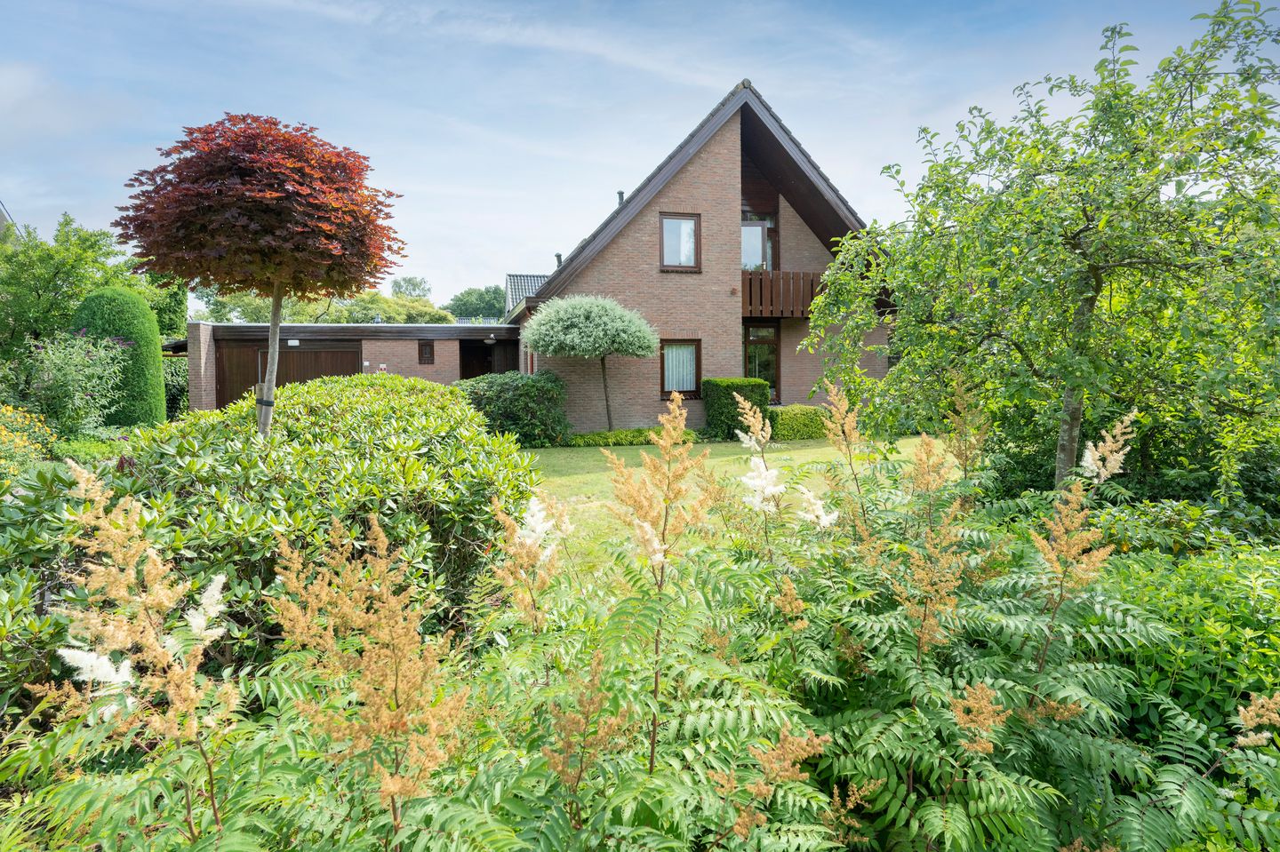 Photo 35 of De Boerhoorn 1