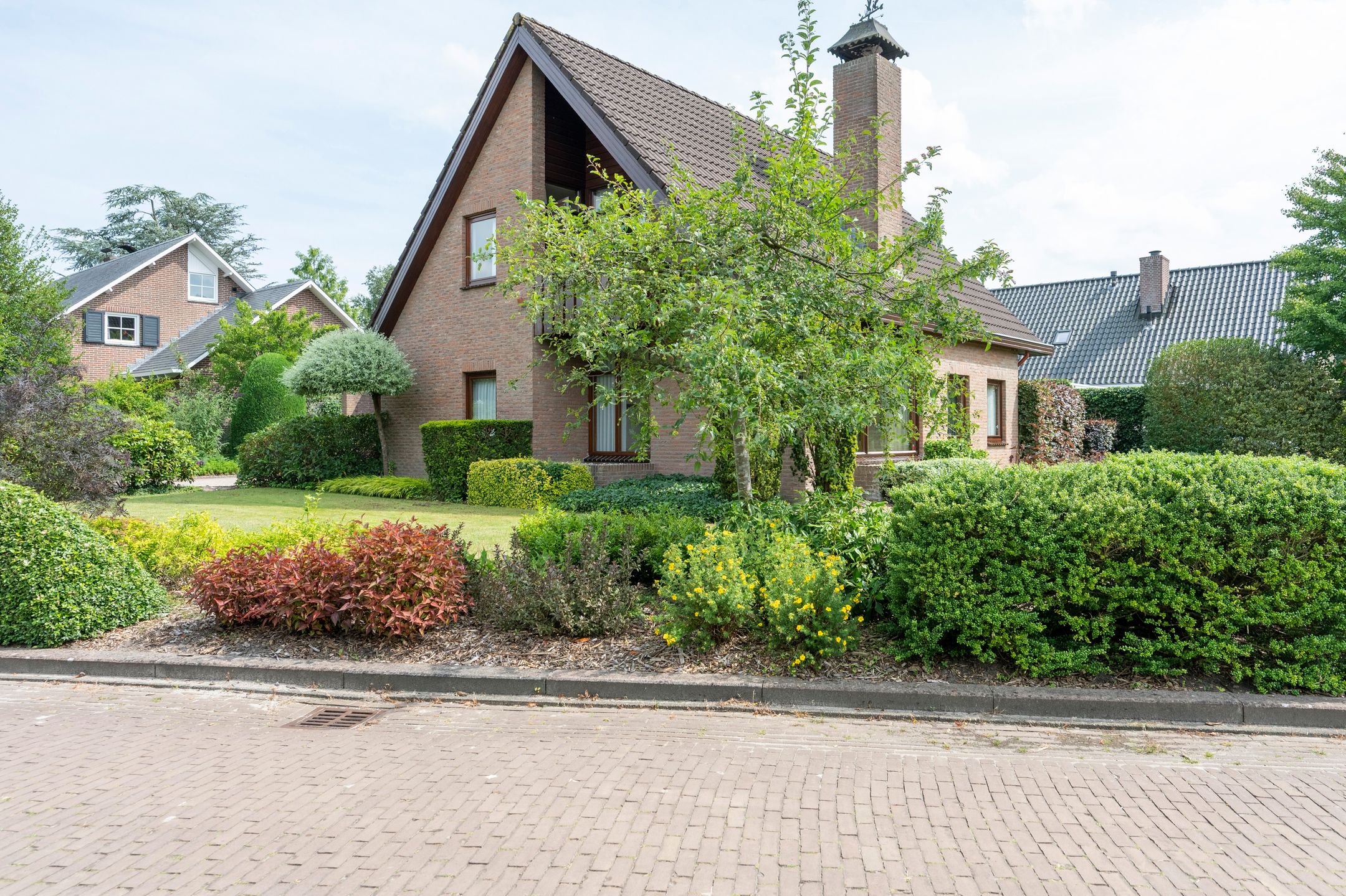 Photo 36 of De Boerhoorn 1