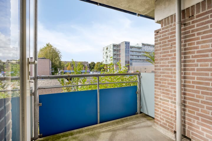 Foto 3 van Korenbloem 37