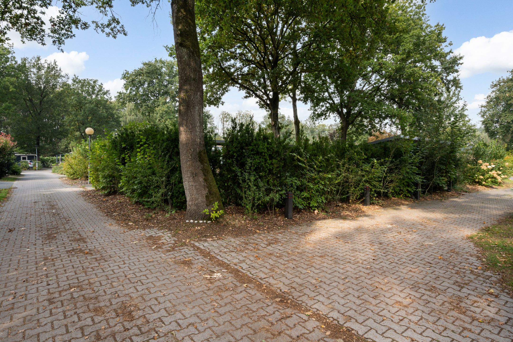 Photo 36 of Hof van Halenweg 2-688