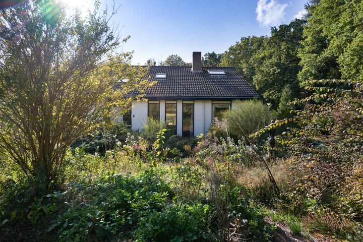 Foto 46 van Larikslaan 5