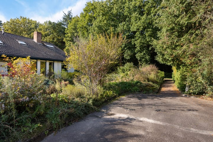 Foto 47 van Larikslaan 5