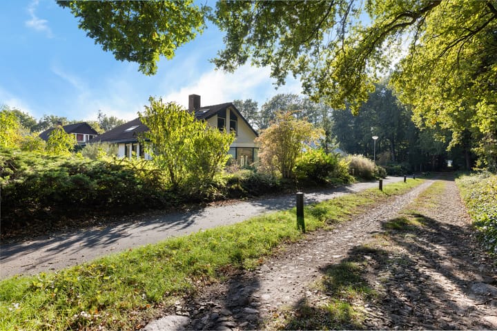 Foto 49 van Larikslaan 5