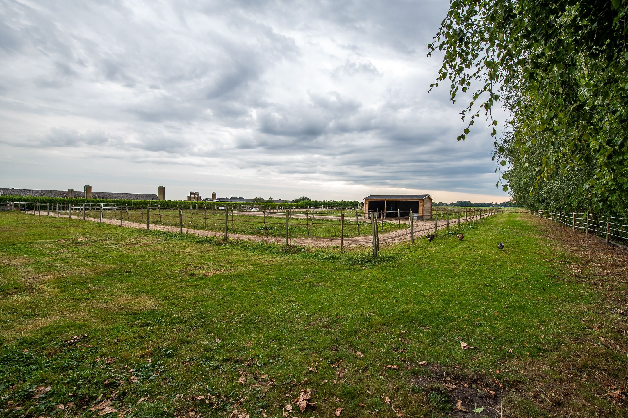 Foto 48 van Hoofdkanaal OZ 109