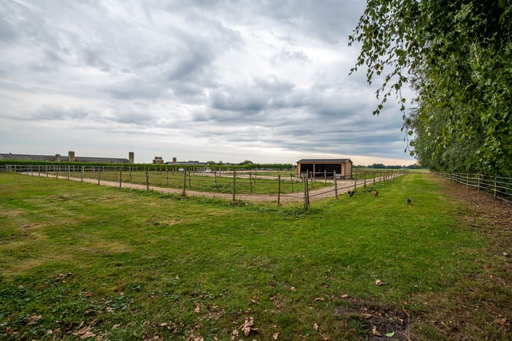 Photo 48 of Hoofdkanaal OZ 109