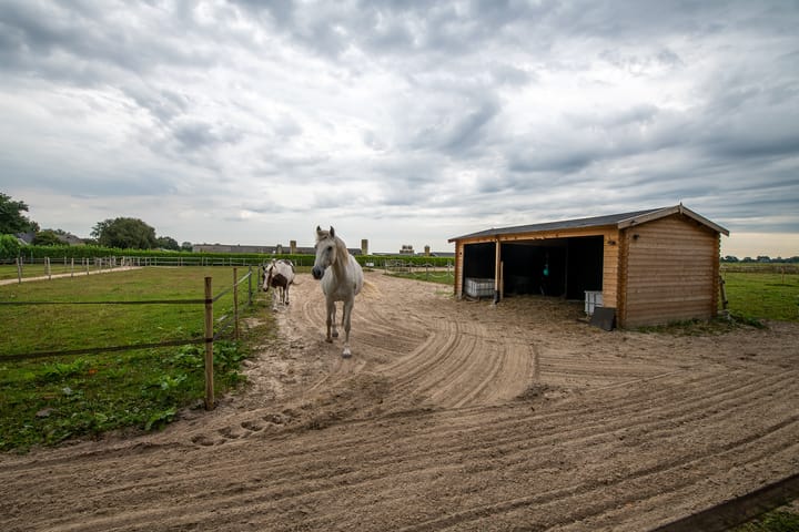 Photo 50 of Hoofdkanaal OZ 109