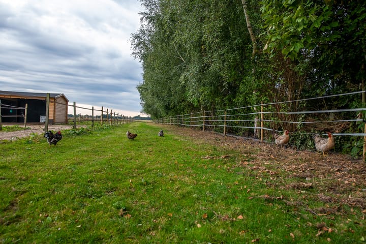 Photo 53 of Hoofdkanaal OZ 109
