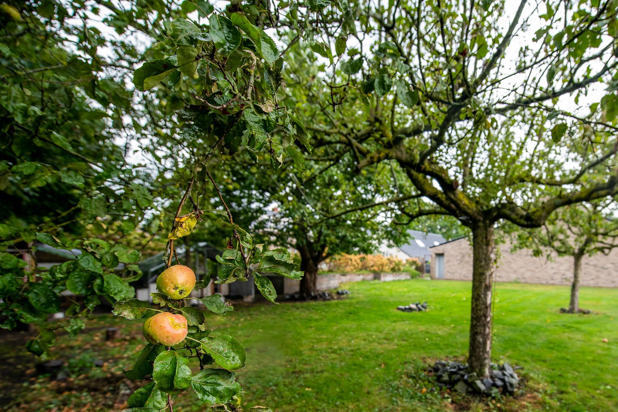 Foto 60 van Hoofdkanaal OZ 109