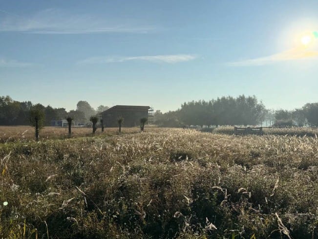 Foto 3 van Sintelweg 2b