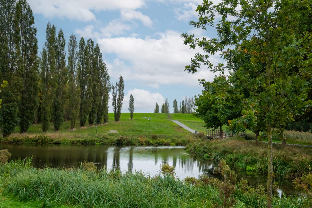 Foto 37 van Ereprijsweide 9