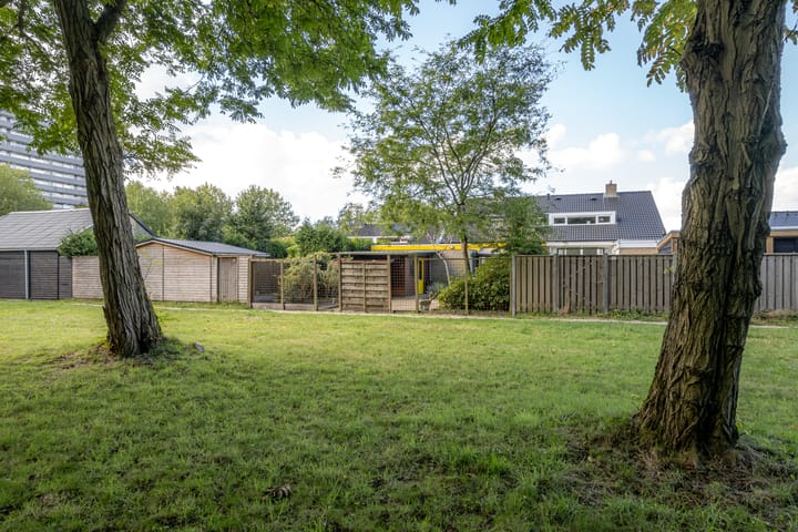 Foto 19 van Bûtewacht 65