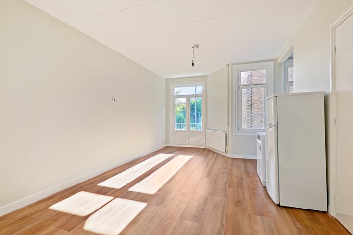 Foto 3 van Newtonstraat 58-1