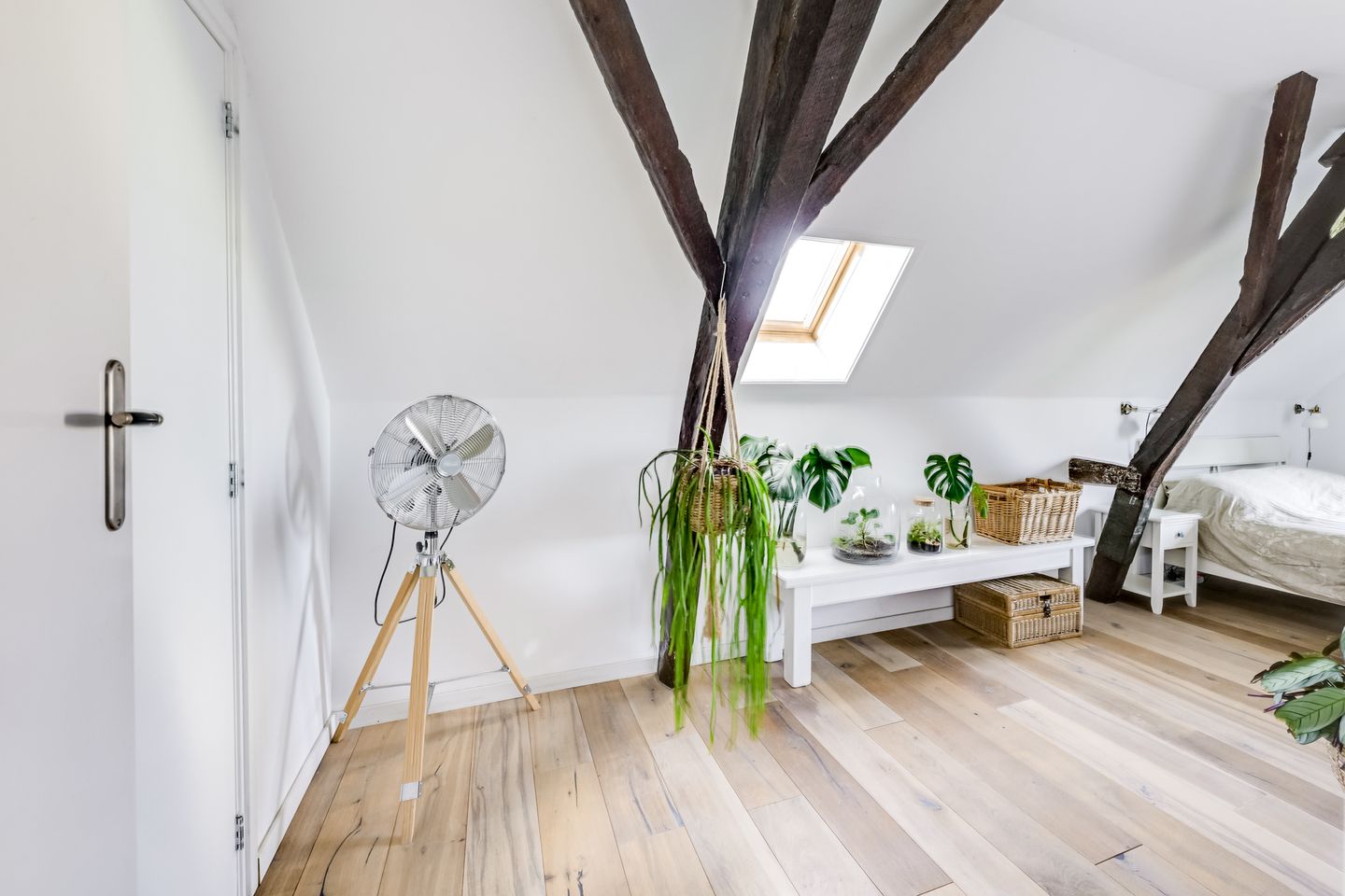 Foto 49 van Dorpsweg 11