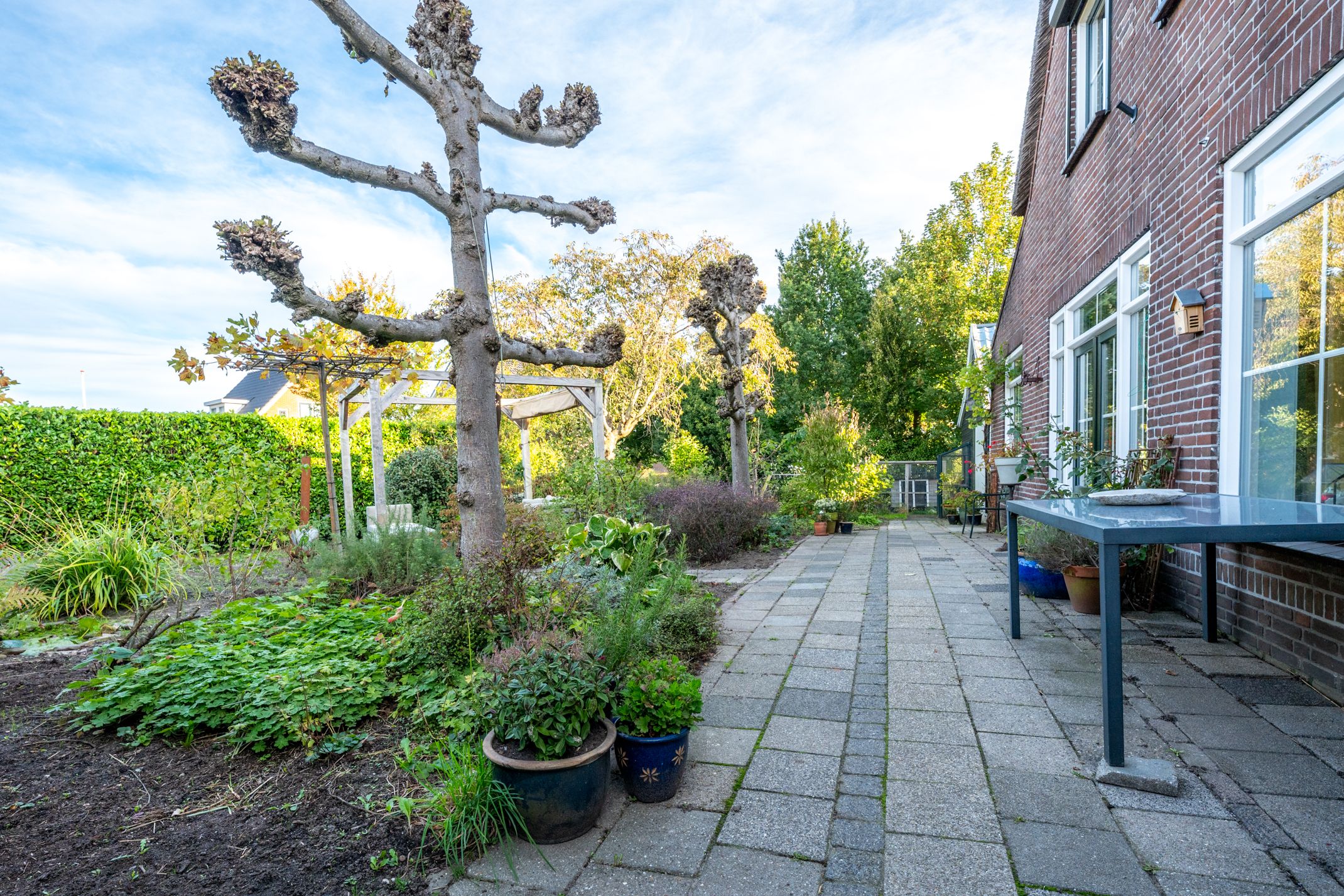 Foto 72 van Dorpsweg 11