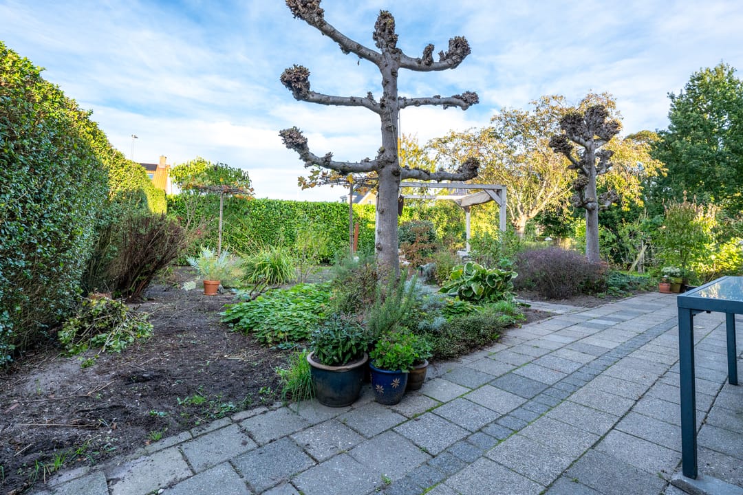 Foto 73 van Dorpsweg 11