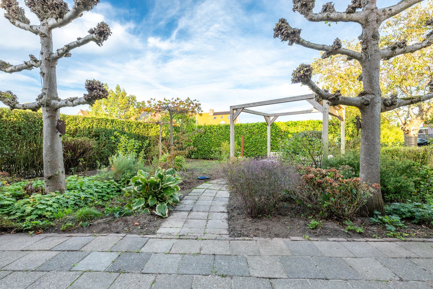 Foto 74 van Dorpsweg 11