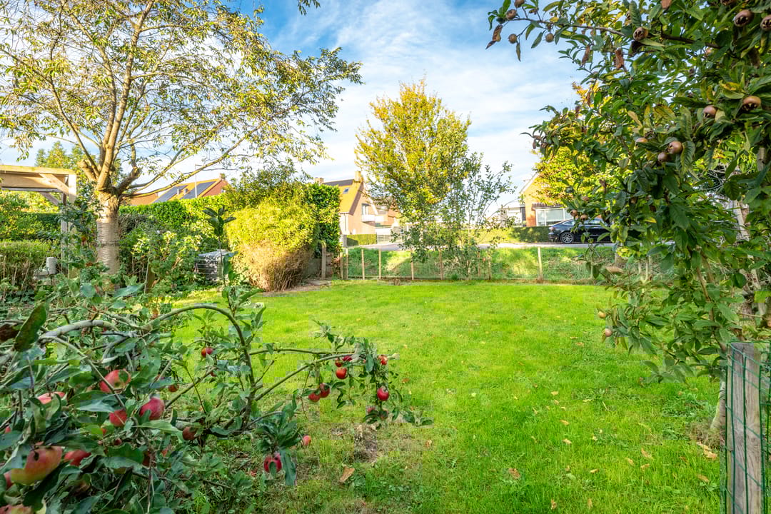 Foto 77 van Dorpsweg 11