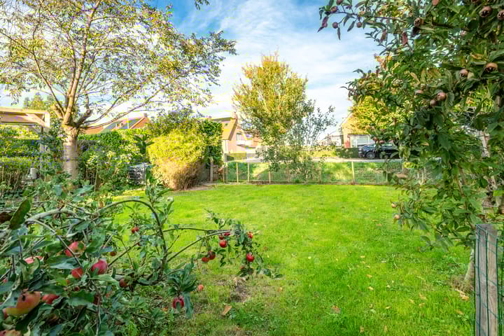 Foto 77 van Dorpsweg 11