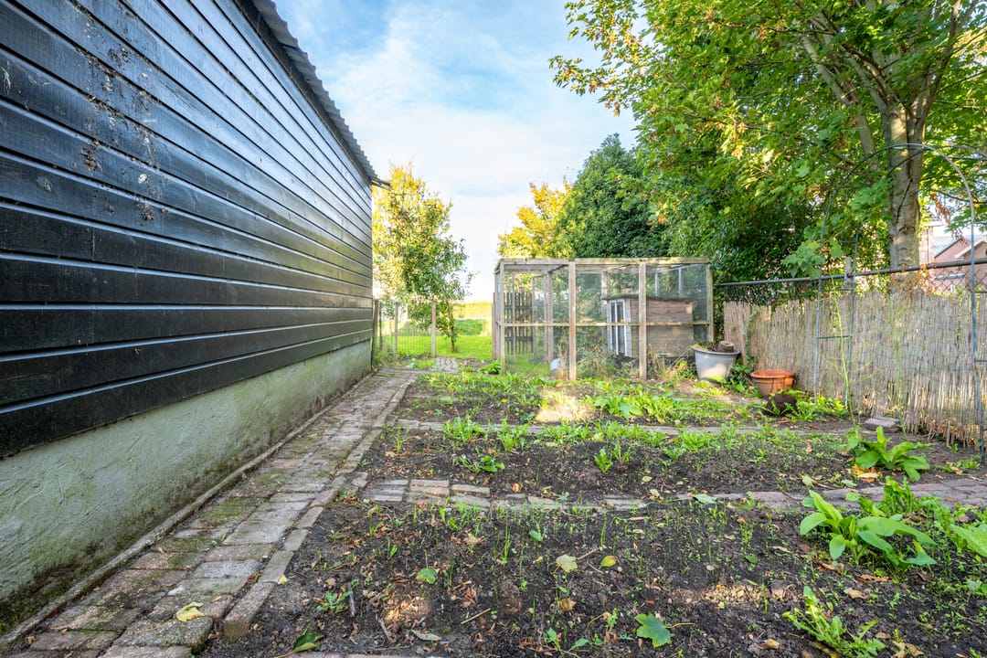 Foto 82 van Dorpsweg 11