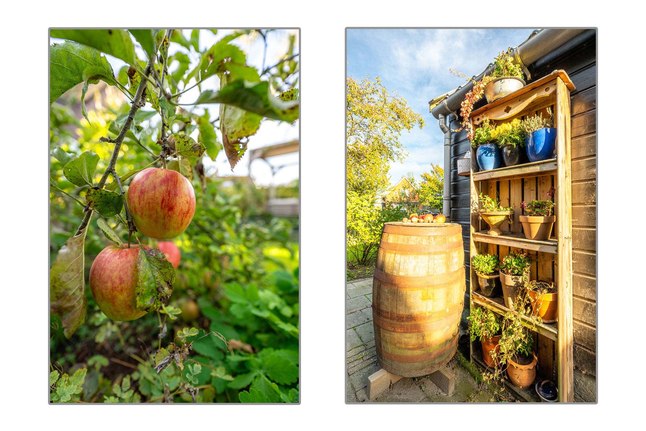 Foto 84 van Dorpsweg 11