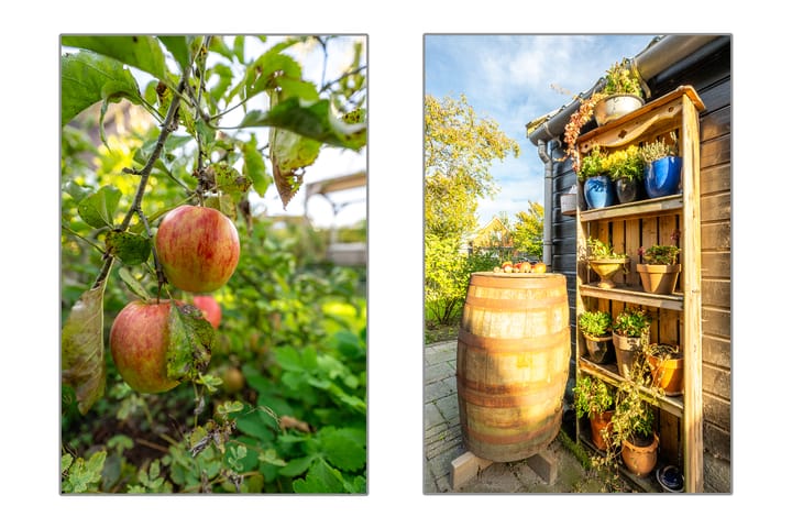 Foto 84 van Dorpsweg 11