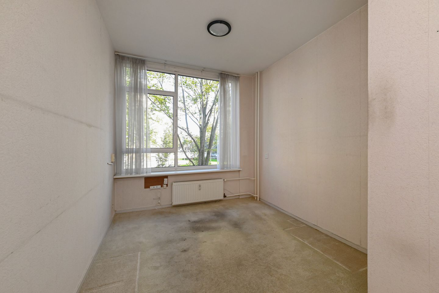 Foto 19 van Groen van Prinstererlaan 99