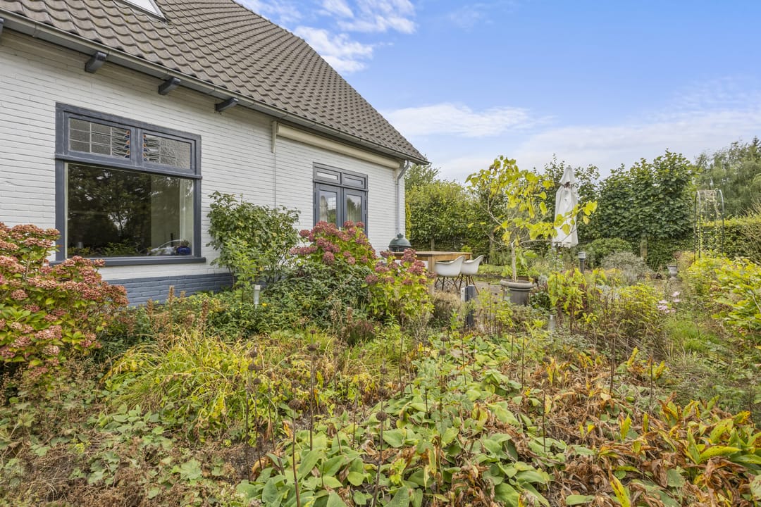 Foto 8 van Woeziksestraat 617